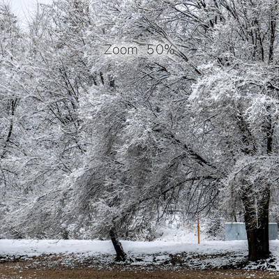 Panorama of the park with a lake and snow-covered trees. 46k — Ver 5