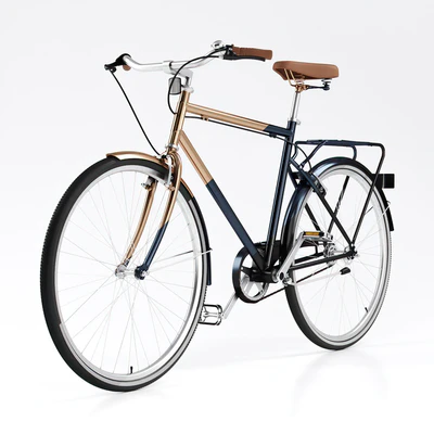 Men's  Vintage Bike / Bike Vintage Roadster — Ver 3