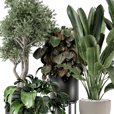Indoor Plants in Ferm Living Bau Pot Large - Set 1204 — Ver 4