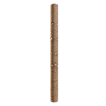 spruce branch bark 006 — Descargar