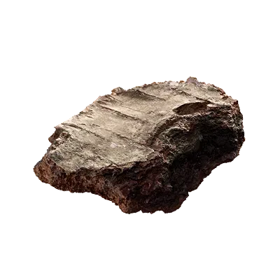 birch bark piece 004 — Скачать