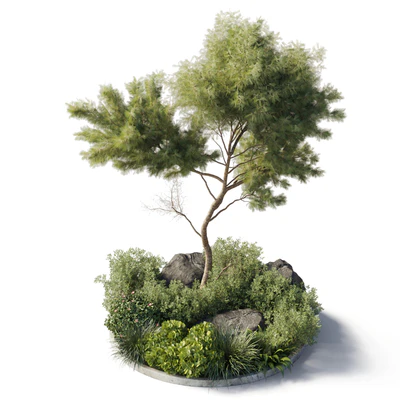 Collection outdoor indoor 81 pot plant & tree & bush & fern the garden pot corona — Ver 1
