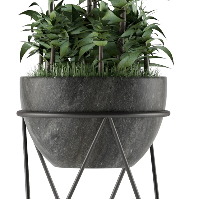 House Plant 21 — Скачать