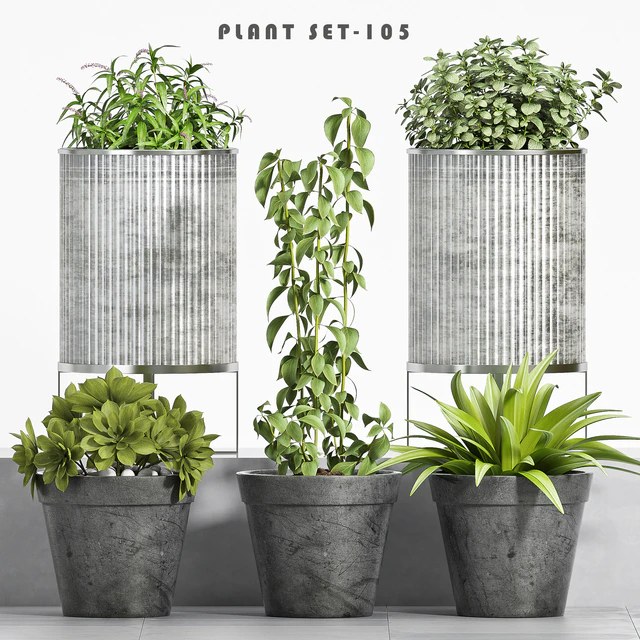 plant set-105 — Скачать