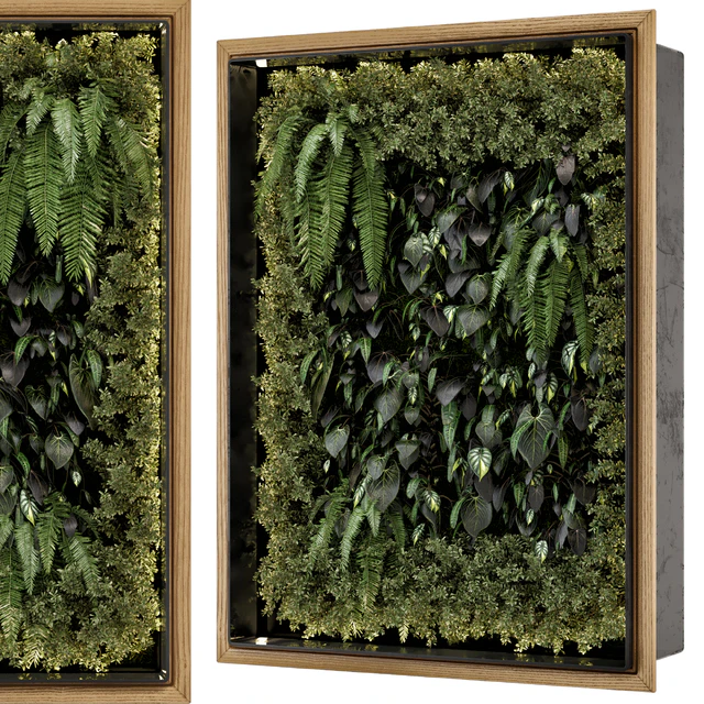 Indoor Wall Vertical Garden in Wooden Base - Set 523 — Download