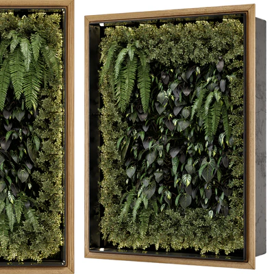 Indoor Wall Vertical Garden in Wooden Base - Set 523 — View 1