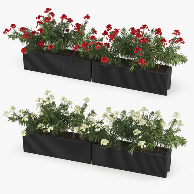 Flowerbed Nerium — Descargar