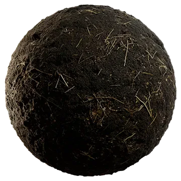 dried grass on moss 004 — Descargar