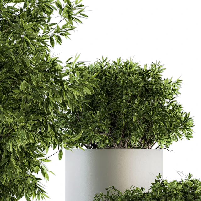 indoor Plant Set 120 - Green and White Set — Скачать