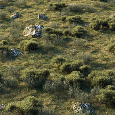 forest landscape — Ver 1