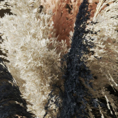 Букет пампасной травы (Pampas grass bouquet) — Вид 5
