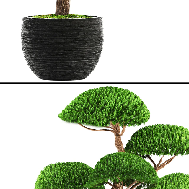 Niwaki 3, cedar, topiary, Niwaki, ornamental tree, landscaping, flowerpot, pot — Descargar