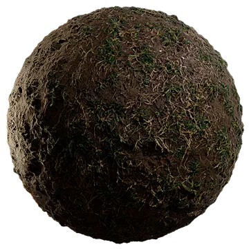 scarce grass on damp soil 012 — Descargar