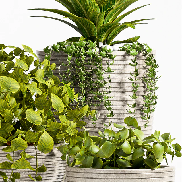 Plant 57 — Descargar
