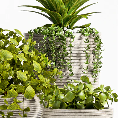 Plant 57 — Ver 2