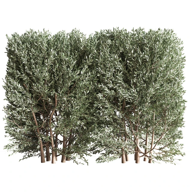 Bush02 — Descargar