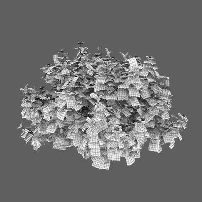 Viburnum — Ver 5