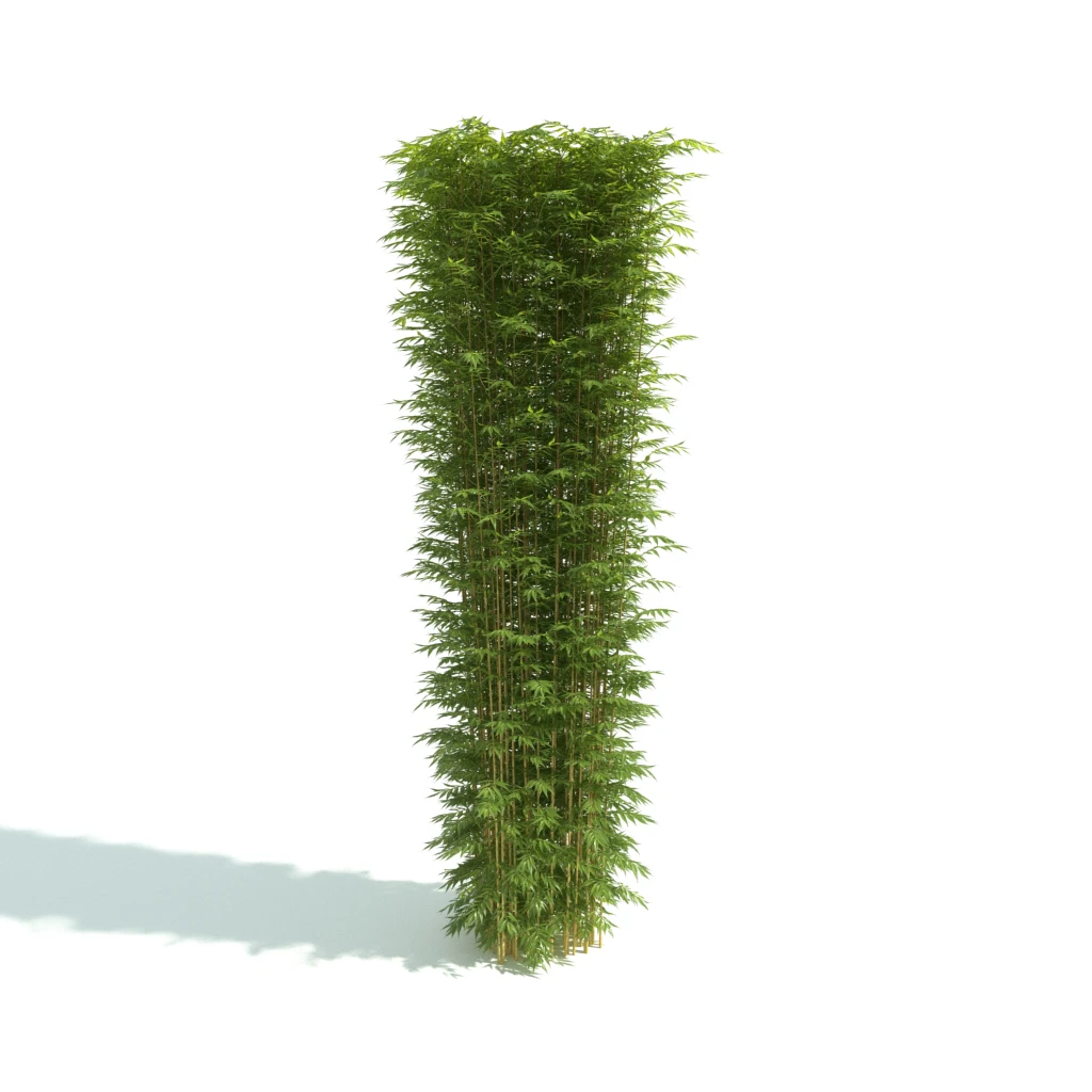 hedges 043 — Скачать