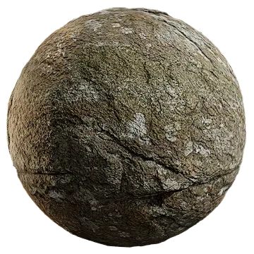 lichen covered rock 025 — Descargar