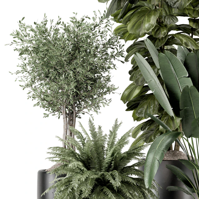 Indoor Plants in Ferm Living Bau Pot Large - Set 1277 — Descargar