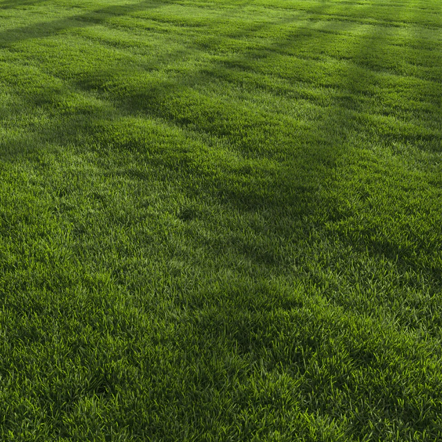 Garden Lawn — Descargar