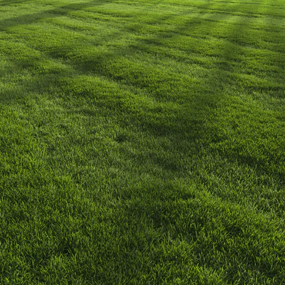 Garden Lawn — Ver 6
