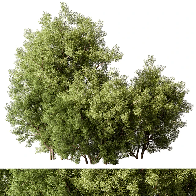 Mixed Plant Bush Set 105 — Скачать