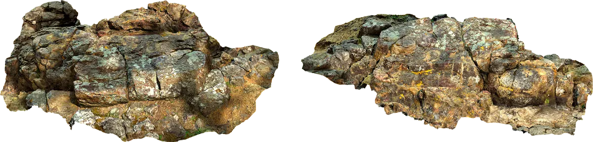 lichen rock cluster 001 — Скачать