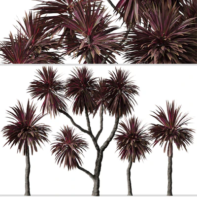 Set of Cordyline australis Trees (Cabbage Tree) (7 Trees) — Ver 2