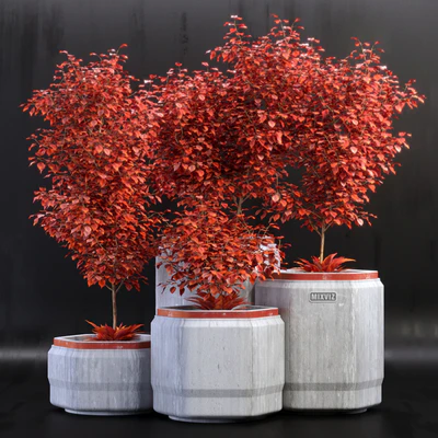 Plants 01 — Ver 1