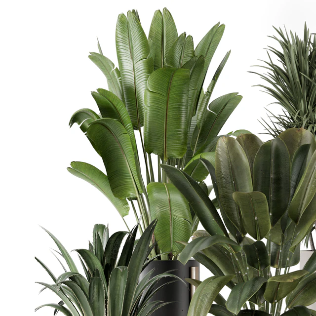 Indoor Plants in Ferm Living Bau Pot Large - Set 1947 — Download