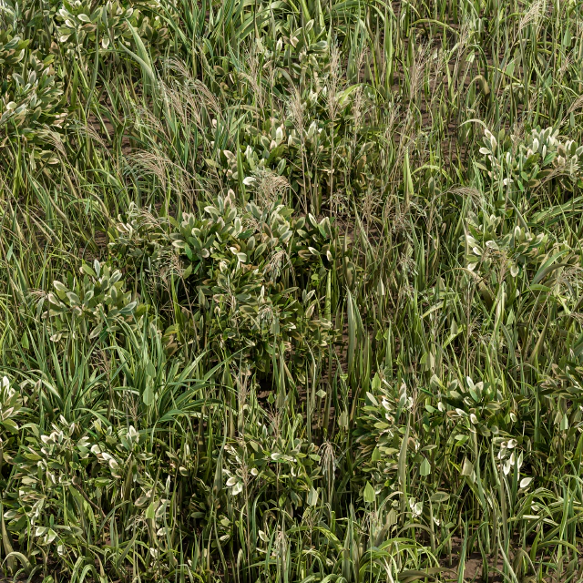 Wild Grass Green - Grass Set 01 — Скачать
