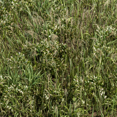 Wild Grass Green - Grass Set 01 — Вид 4