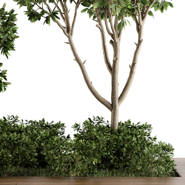 Garden set bush and Tree - Garden Set 07 — Descargar
