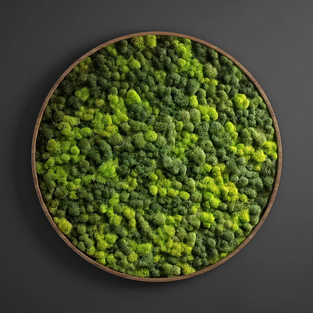 panel moss circle — Descargar