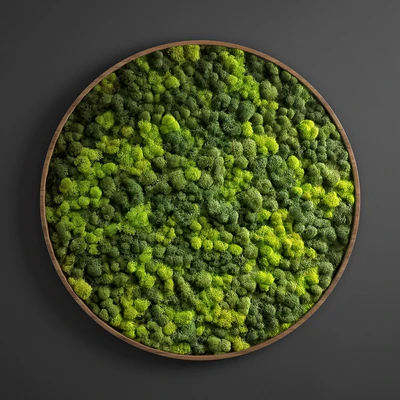 panel moss circle — Ver 1