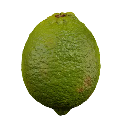 small green lime 001 — Скачать