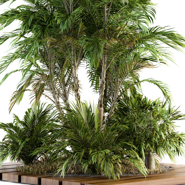 Garden set Tropical bush and Tree - Garden Set 05 — Скачать