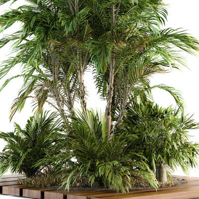 Garden set Tropical bush and Tree - Garden Set 05 — Вид 2
