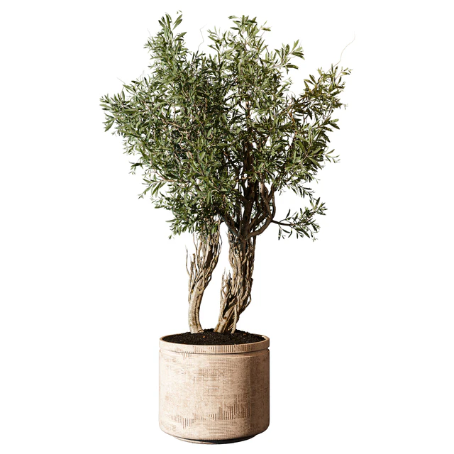 Outdoor Plant 207 — Descargar