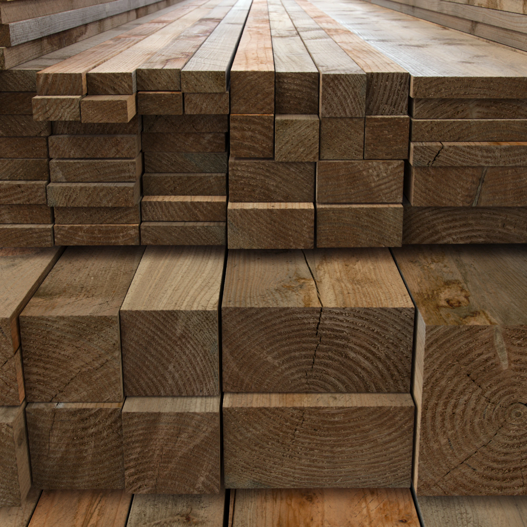 timber 018 — Скачать