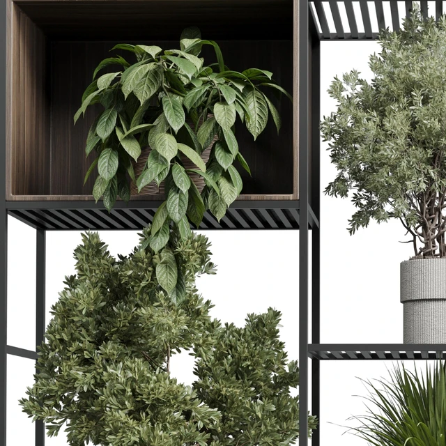 Standing metal shelf with a set of plants in wooden and metal boxes 419 — Скачать