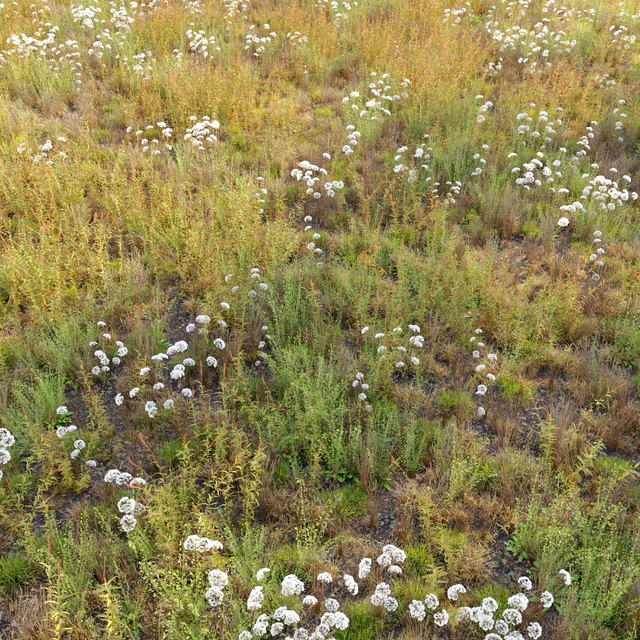 Meadow 10 — Descargar
