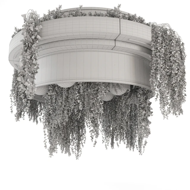 Indoor Hanging Plants in Metal Box - Set 1506 — Descargar