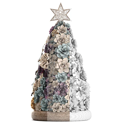 Plant Collection 421. succulents, Christmas tree, cake, Echeveria — Ver 3