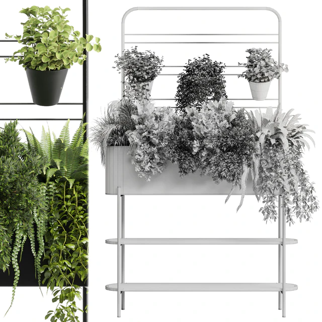 Collection Indoor plant 126 Auckland Black Metal Flower Box plant ivy fern pots — Скачать