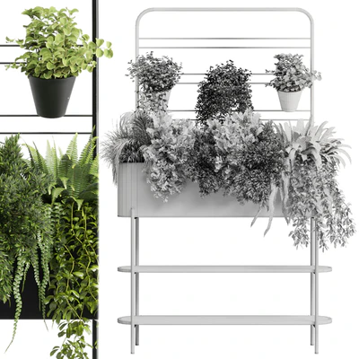 Collection Indoor plant 126 Auckland Black Metal Flower Box plant ivy fern pots — Вид 2