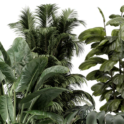 Indoor Plants in Ferm Living Bau Pot Large - Set 1361 — Ver 5