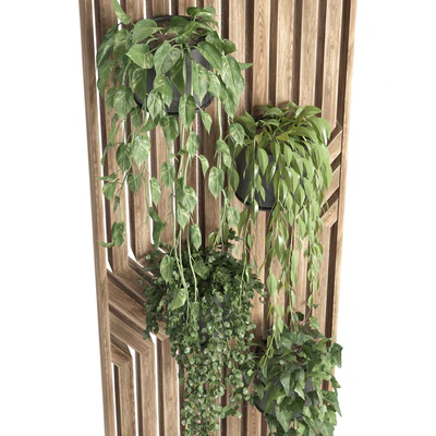 hanging plant-wooden wall — Вид 3