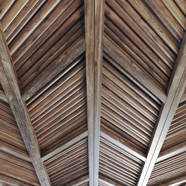 Ceiling diagonal branch straight n2 — Descargar